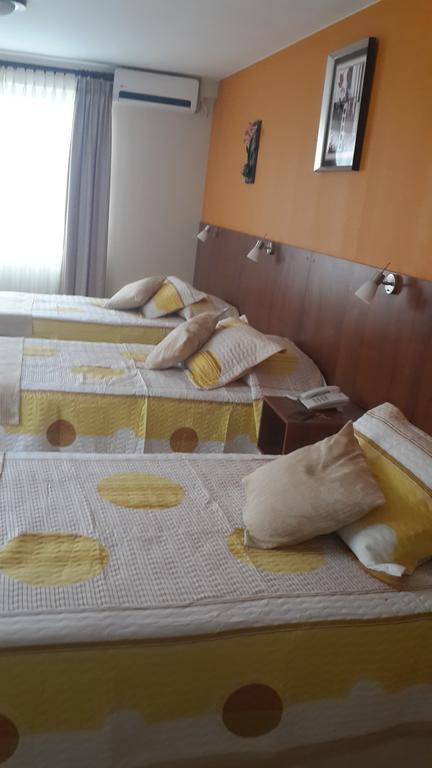 Hotel Mitru - Тариха Стая снимка